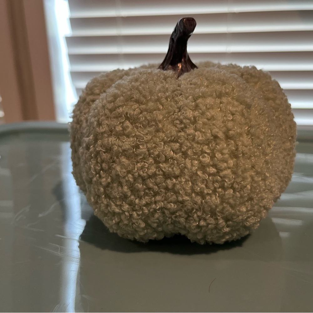 Textured Cream Decorative Pumpkin